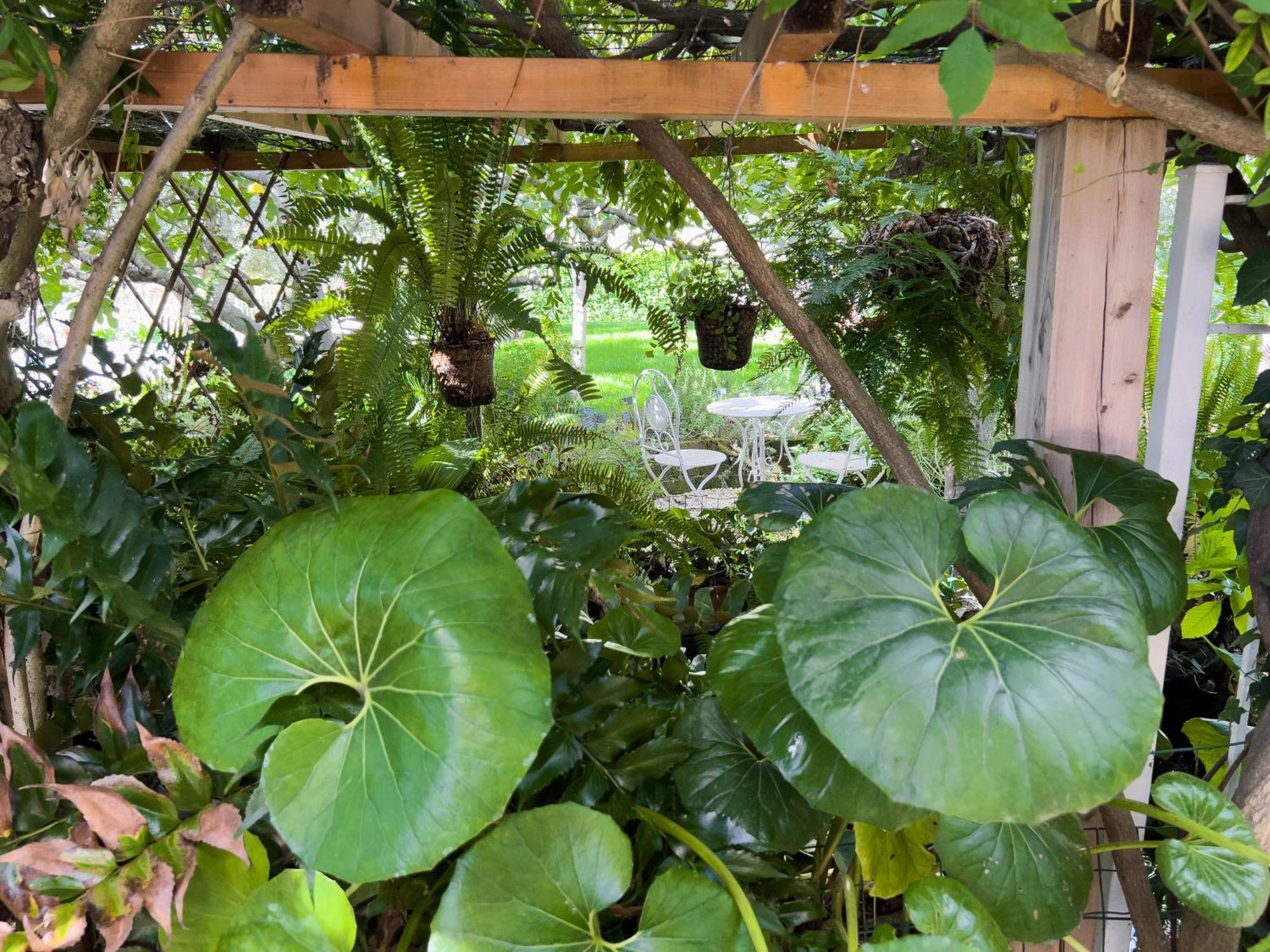 Villa La Rodina Diano Marina Ngoại thất bức ảnh